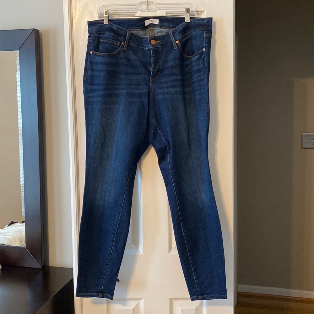 Loft PLUS modern skinny jean